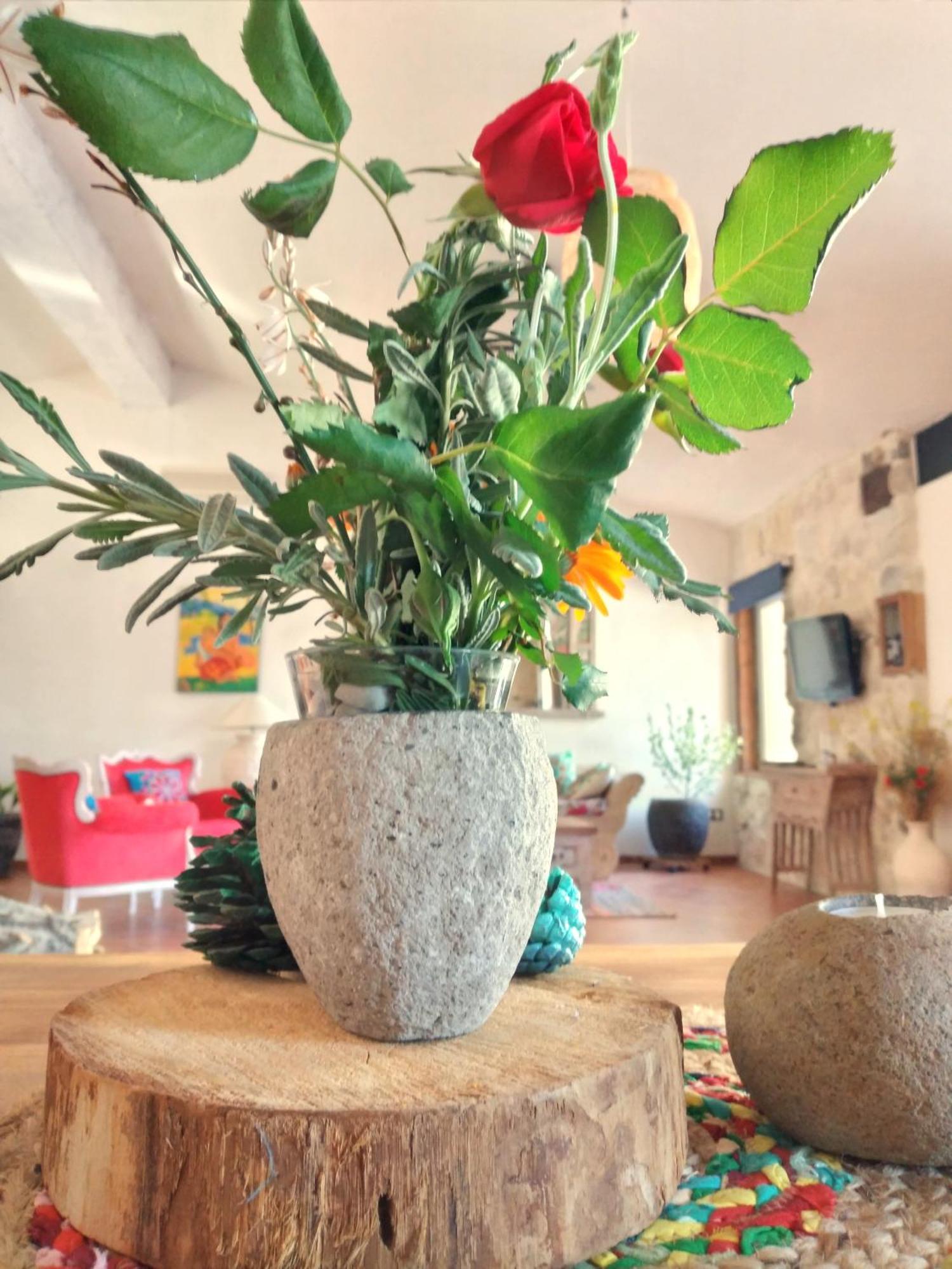 הוילה Castilléjar Loft Carriones מראה חיצוני תמונה